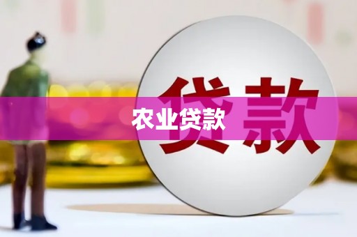 薛城农业贷款