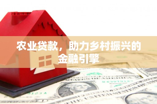 华龙农业贷款，助力乡村振兴的金融引擎