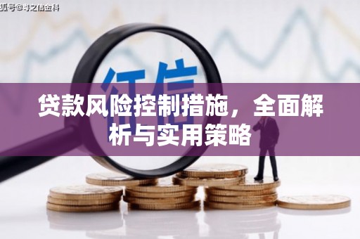 双桥贷款风险控制措施，全面解析与实用策略