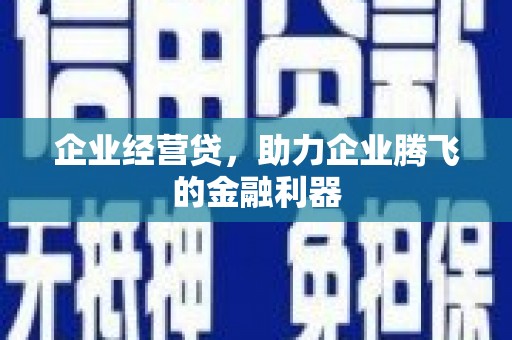 聂荣企业经营贷，助力企业腾飞的金融利器