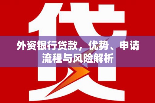 望安外资银行贷款，优势、申请流程与风险解析