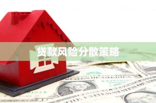 民丰贷款风险分散策略
