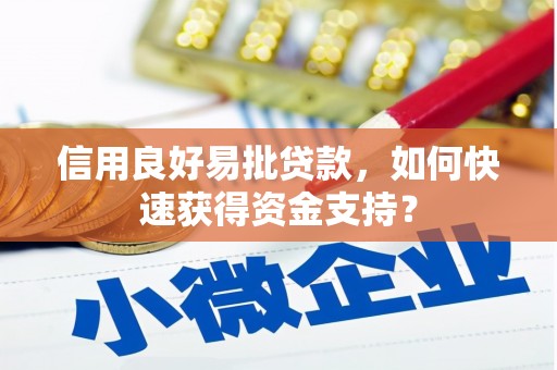 顺河信用良好易批贷款，如何快速获得资金支持？