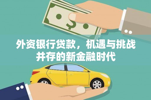 泌阳外资银行贷款，机遇与挑战并存的新金融时代