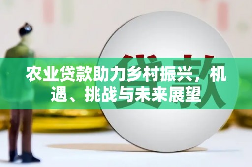 罗山农业贷款助力乡村振兴，机遇、挑战与未来展望