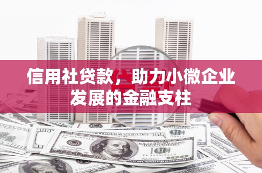 察雅信用社贷款，助力小微企业发展的金融支柱