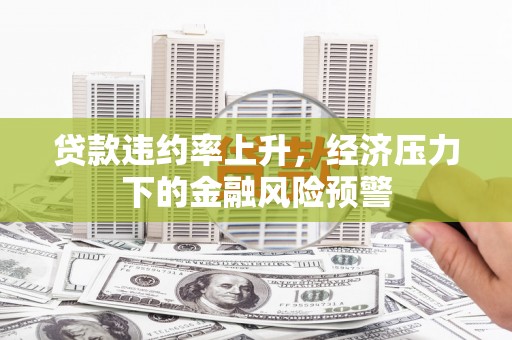 赫山贷款违约率上升，经济压力下的金融风险预警
