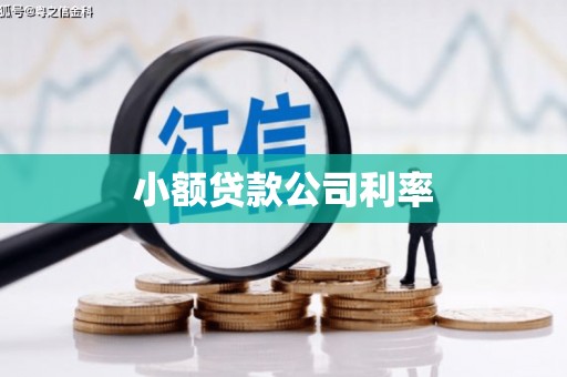 神农架小额贷款公司利率