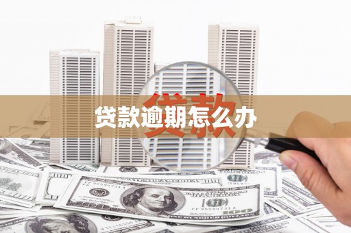 太麻里贷款逾期怎么办
