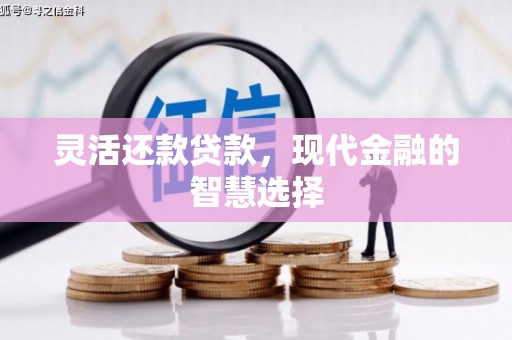 蒙阴灵活还款贷款，现代金融的智慧选择