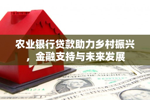 德清农业银行贷款助力乡村振兴，金融支持与未来发展