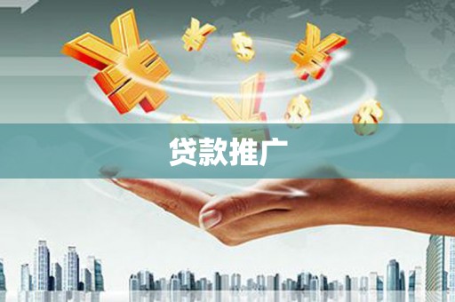 囊谦贷款推广