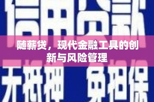 岑巩随薪贷，现代金融工具的创新与风险管理