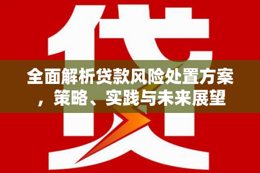 岳塘全面解析贷款风险处置方案，策略、实践与未来展望
