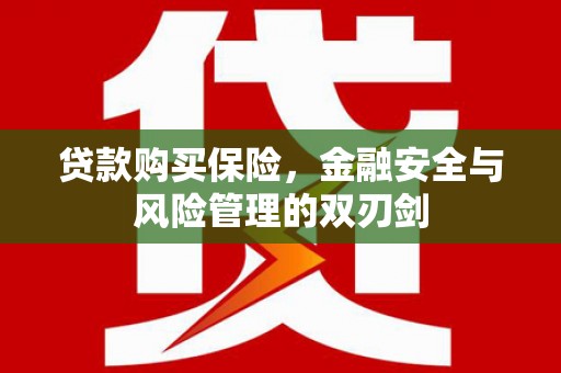 莱城贷款购买保险，金融安全与风险管理的双刃剑