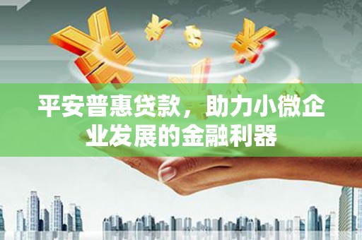 九龙城平安普惠贷款，助力小微企业发展的金融利器