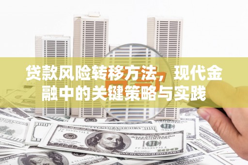 长岛贷款风险转移方法，现代金融中的关键策略与实践