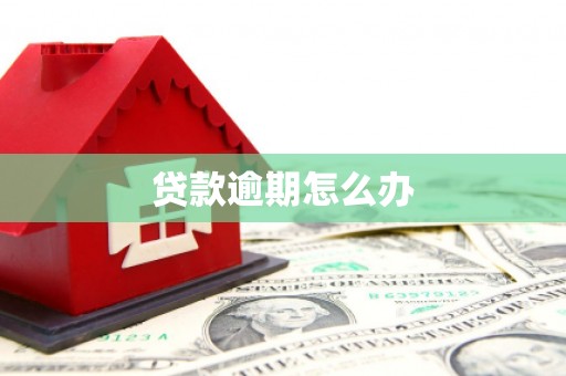莿桐贷款逾期怎么办
