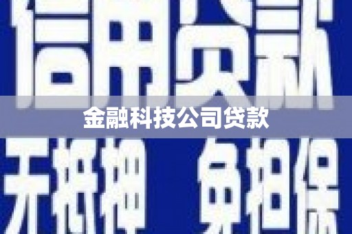 中正金融科技公司贷款
