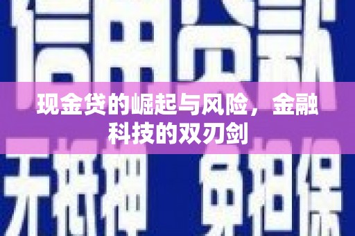 浔阳现金贷的崛起与风险，金融科技的双刃剑