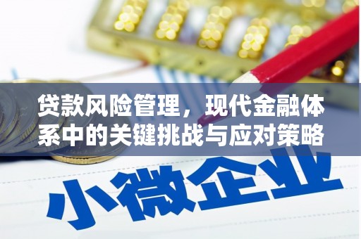 鱼峰贷款风险管理，现代金融体系中的关键挑战与应对策略