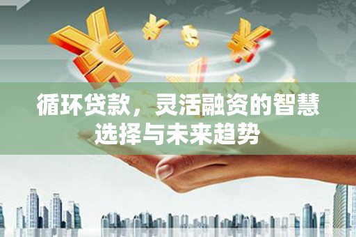 索县循环贷款，灵活融资的智慧选择与未来趋势