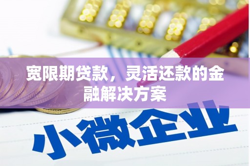 埔心宽限期贷款，灵活还款的金融解决方案
