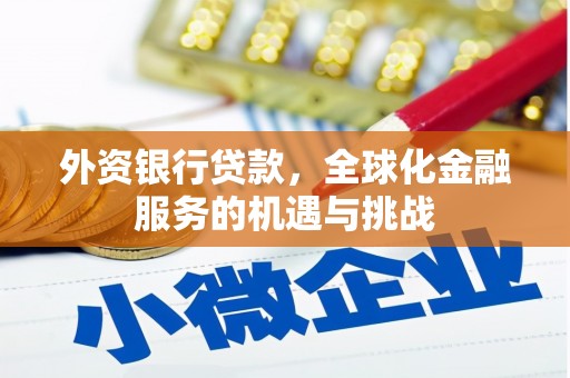 武隆外资银行贷款，全球化金融服务的机遇与挑战