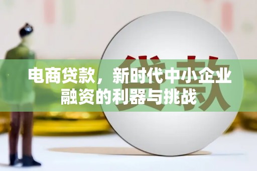 墨江电商贷款，新时代中小企业融资的利器与挑战