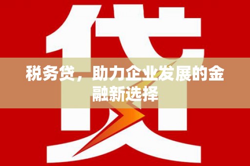 芗城税务贷，助力企业发展的金融新选择
