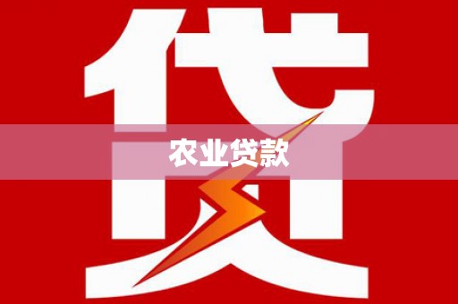 南城农业贷款