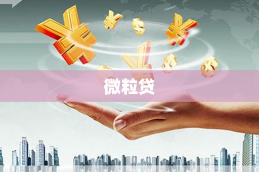 错那微粒贷