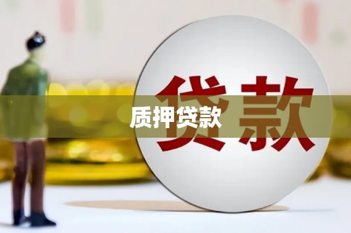 平果质押贷款