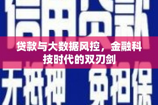宝应贷款与大数据风控，金融科技时代的双刃剑