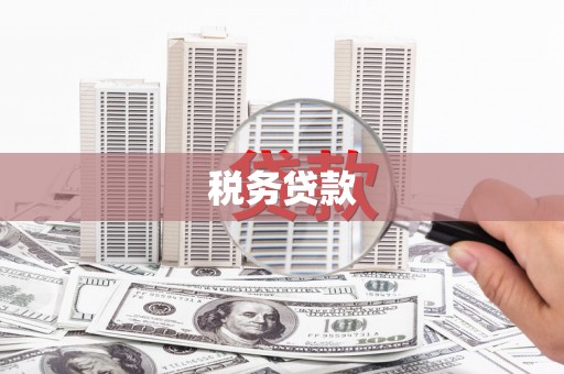 东营税务贷款