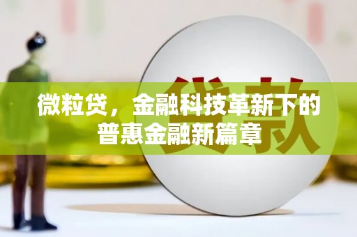 坪林微粒贷，金融科技革新下的普惠金融新篇章