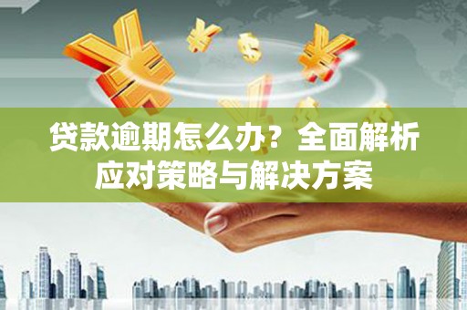 宛城贷款逾期怎么办？全面解析应对策略与解决方案