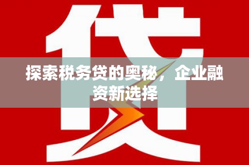 礼县探索税务贷的奥秘，企业融资新选择