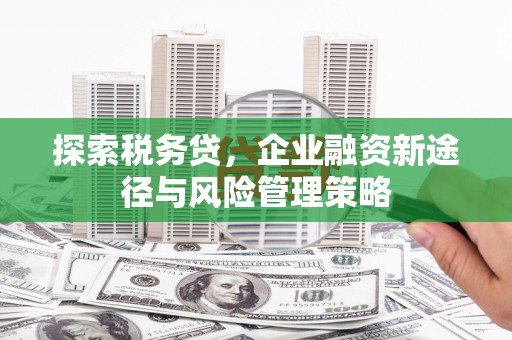 彬县探索税务贷，企业融资新途径与风险管理策略