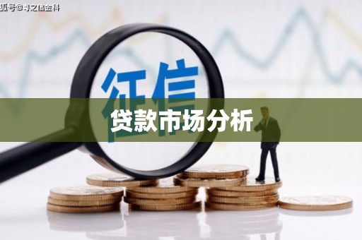 巴青贷款市场分析