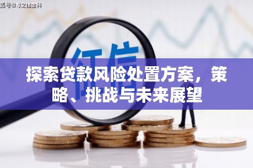 公安探索贷款风险处置方案，策略、挑战与未来展望