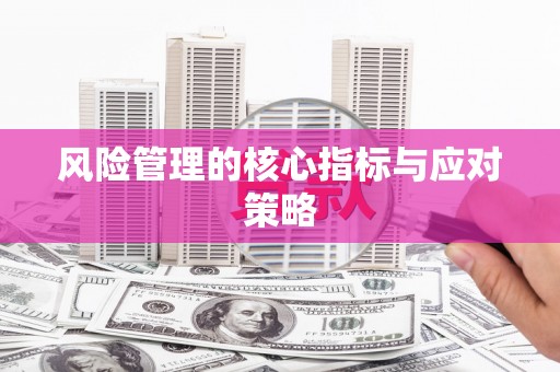 天元风险管理的核心指标与应对策略