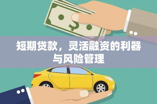 陵城短期贷款，灵活融资的利器与风险管理