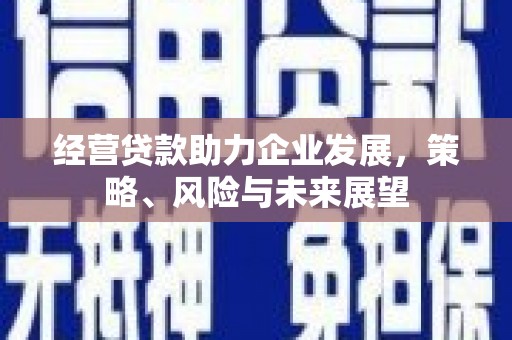 阿里山经营贷款助力企业发展，策略、风险与未来展望