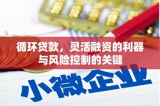 东引循环贷款，灵活融资的利器与风险控制的关键