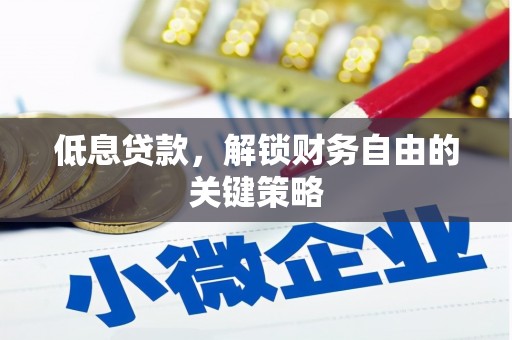 舟山新区低息贷款，解锁财务自由的关键策略