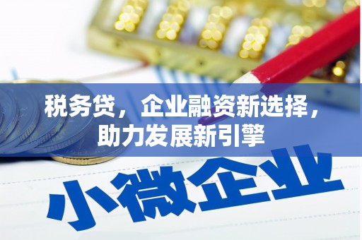 板桥税务贷，企业融资新选择，助力发展新引擎