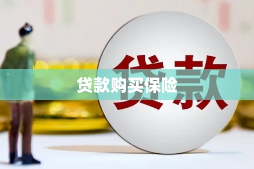 多伦贷款购买保险