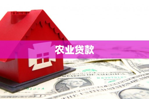 天津农业贷款