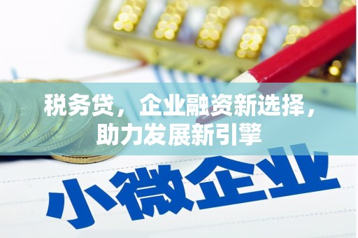 新华税务贷，企业融资新选择，助力发展新引擎